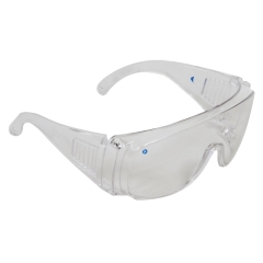 Visitor Safety Glasses