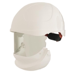ARC 2 Hard Hat And Face Shield - ErgoS Intec Plus - 14cal/cm2